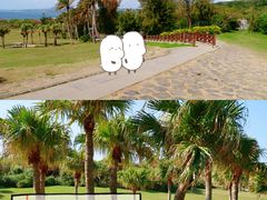 -鹅銮鼻公园