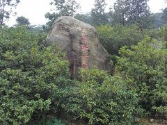 -广州市石门国家森林公园