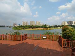 -立新湖公园