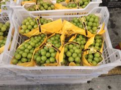 -西郊国际农产品交易中心