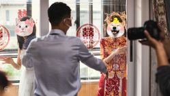 点击看大图 -MANLI BRIDAL婚纱
