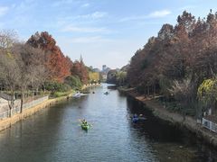 -新江湾城公园
