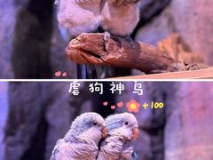 -正佳雨林生态植物园