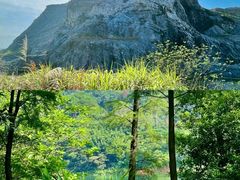 -佛山市三水区大南山森林公园
