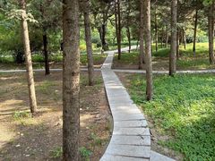 -万泉公园