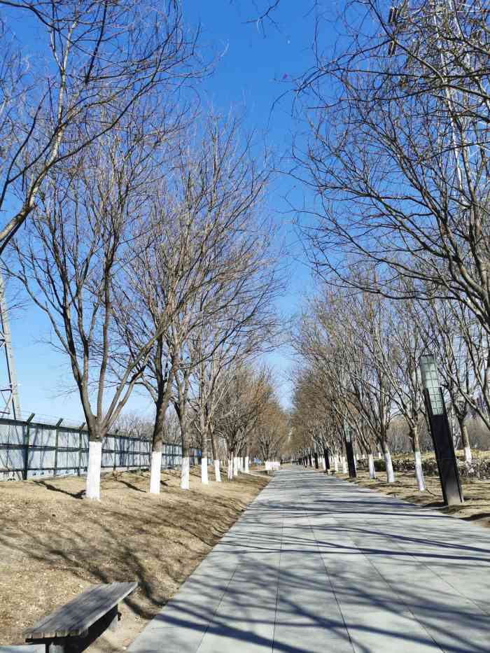 兴华公园-"路过兴华公园,几位老帅哥正在耍一种长鞭,.