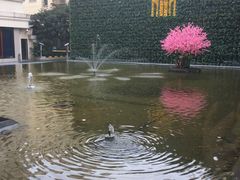 -锦江都城经典达华静安寺酒店·餐厅