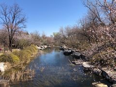 -国家植物园南园