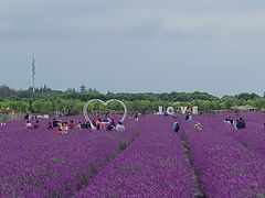 -嘉北郊野公园