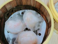 -杨记杏仁茶(椰园店)