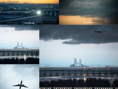 -宝安西湾红树林湿地公园