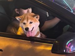 -HIB HUB公社(解放西路店)