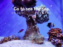 -海合安青岛极地海洋公园