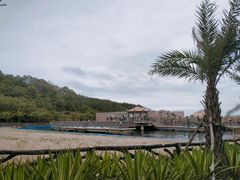 -广东惠东海龟国家级自然保护区