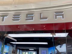 -TESLA 特斯拉(郑州正弘城体验店)