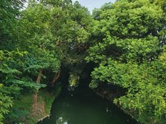 -同里国家湿地公园