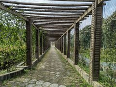 -黄陂区野村谷景区
