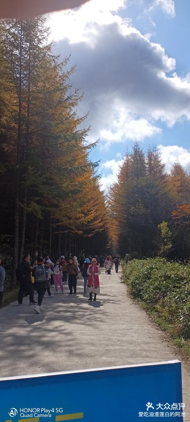 米仓山一日游图片