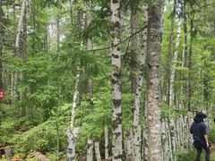 -峡谷浮石林景区