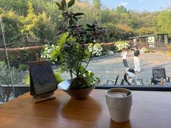 -圌山