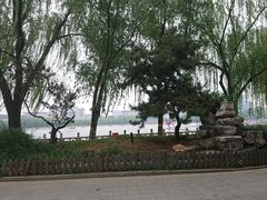 -莲花池公园