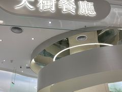 -大树餐厅(朝阳大悦城店)
