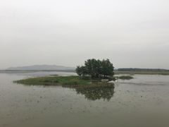 -微山湖红荷湿地景区