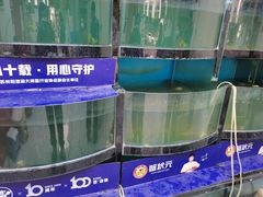 -蟹状元大闸蟹·年货·粽子(成都成华店)