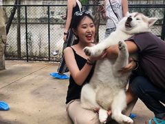 -TrueLove @ Neverland (Husky Cafe)