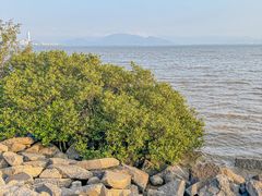 -深圳湾公园(南山区)