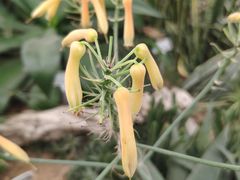 -郑州植物园