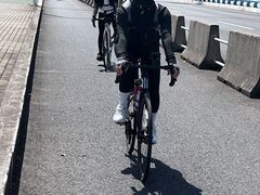 -嘉定紫藤园