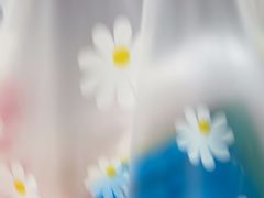 -老孙记烧鸡