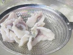 -中山脆肉鲩(新圳东路店)