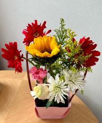 -贝瑞佳月子会所(杭州旗舰店)