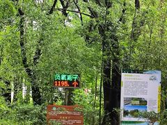 -同里国家湿地公园