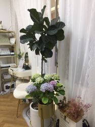 -UN·桃喜日系美睫美甲