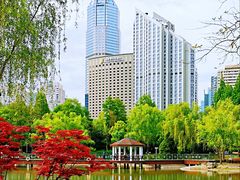 -新虹桥中心花园