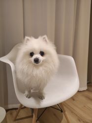-MZ SKIN CARE逆齢驻颜中心
