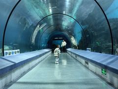 -福州罗源湾海洋世界旅游区