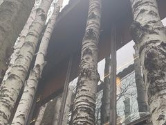 -Metal hands·铁手咖啡