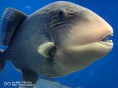 -泉城欧乐堡海洋极地世界