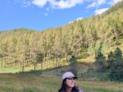 -塞罕坝国家级自然保护区