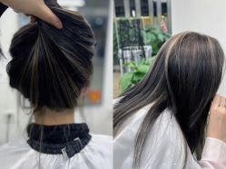 -蚂蚁造型俱乐部