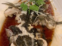 清蒸笋壳鱼-正晴和酒店(黑龙江路店)