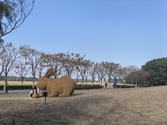 -嘉北郊野公园