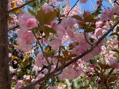 -龙口南山旅游景区