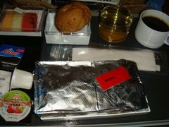 -新加坡航空公司(ION)