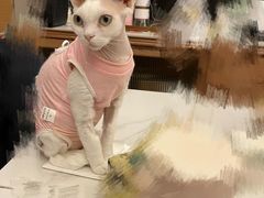 -美联众合动物医院·24h京西诊疗中心