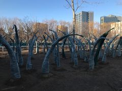 -大兴滨河森林公园